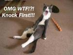 OMG WTF!?! Knock First!!!