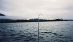 fishing_pole